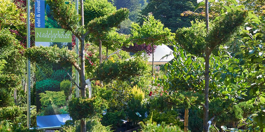 Gartenbaumschule Späth